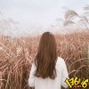 酣睡小熊啦啦的头像