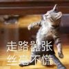 意侬原声播剧的头像