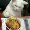 7oi的头像