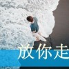 真冬爱吃乌冬面（努力减肥版）的头像