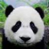 励志的头像