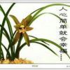 小汐🌙晚晚（助眠）的头像