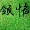 熊猫看世界的头像