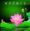 冥想声音疗愈师的头像