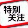 木兰呐🥑的头像