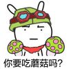 邓只只（声控助眠）的头像