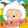 礼礼（轻语助眠）的头像