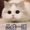君宁床垫的头像