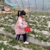 龙葵🦋的头像