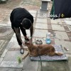 一勺酸奶的头像