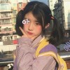 鹌纯的头像