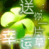 小猪熊的头像