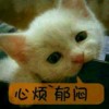 Alice- XI的头像