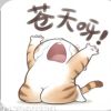 rarabibit的头像