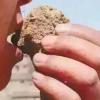 睡意朦胧（鹤岗小宝）的头像