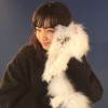 猫界的助眠的头像