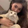 深度助眠的头像