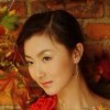 杨小皮的头像