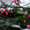 小小雪  承蒙厚爱的头像