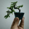 静听雨声（助眠解压）的头像