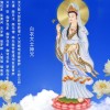 鱼刺（asmr轻语助眠）的头像