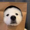 kitty呀的头像