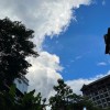 面条助眠🌟的头像