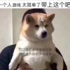 🌹凤姐姐🌹的头像