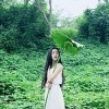 美伊～的头像