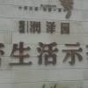 加盐盐🐈的头像