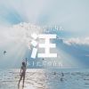 曹芬的头像