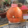田田家手工礼品屋的头像
