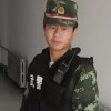 小狗骑士的头像