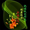 夏玖动漫的头像