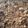 又见观音-赵老师的头像