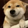 83497932364的头像