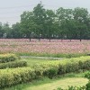 GARY的旅行的头像