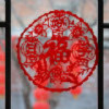 Li十七呀的头像
