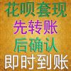 番茄狗炒蛋的头像
