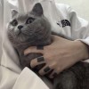乖巧宝宝Quby的头像