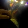 小薇的头像