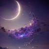 小小熬夜仔的头像