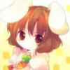 聚猿创团队橘猫老板的头像