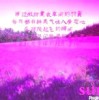 六儿不是62的头像