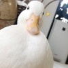 林泽军的头像