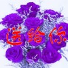 国漫疯剪的头像