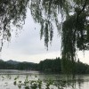 长腿毛的哥哥的头像