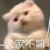 VAVA脑师的头像