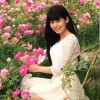 钢铁小牙的头像