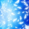 篮球解说【波教授体育】的头像